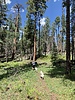 photo thumbnail #11