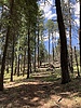 photo thumbnail #12