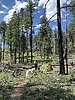 photo thumbnail #14
