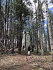 photo thumbnail #15