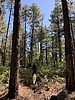 photo thumbnail #1