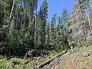 photo thumbnail #2