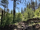 photo thumbnail #5