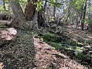 photo thumbnail #11