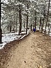 photo thumbnail #6