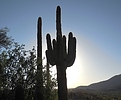 photo thumbnail #13