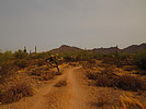 photo thumbnail #3