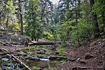photo thumbnail #4
