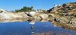 photo thumbnail #3
