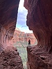photo thumbnail #11