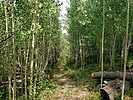 photo thumbnail #11