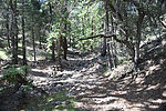 photo thumbnail #5