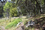 photo thumbnail #7