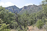 photo thumbnail #11