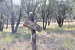 photo thumbnail #2