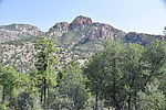 photo thumbnail #4
