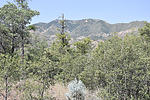 photo thumbnail #7