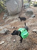 photo thumbnail #12