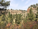 photo thumbnail #6
