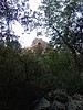 photo thumbnail #12