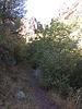photo thumbnail #14