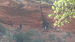 photo thumbnail #13
