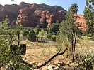 photo thumbnail #15