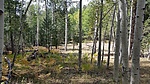 photo thumbnail #10