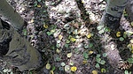 photo thumbnail #12