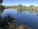 photo thumbnail #2