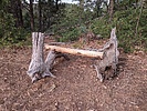 photo thumbnail #3