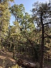 photo thumbnail #14