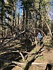photo thumbnail #14