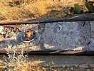 photo thumbnail #6
