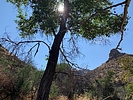 photo thumbnail #11