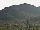 photo thumbnail #11
