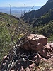 photo thumbnail #7