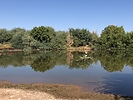photo thumbnail #5