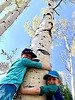 photo thumbnail #12
