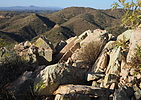 photo thumbnail #2