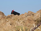 photo thumbnail #7