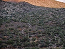 photo thumbnail #9