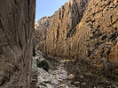 photo thumbnail #12