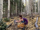 photo thumbnail #3