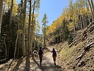 photo thumbnail #7