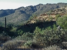 photo thumbnail #6