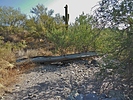 photo thumbnail #13