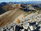 photo thumbnail #5