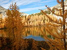 photo thumbnail #13
