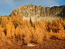 photo thumbnail #14
